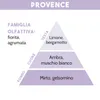 RICARICA PER DIFFUSORE DI ESSENZA, PROVENCE, 500 ml