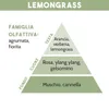 RICARICA PER DIFFUSORE DI ESSENZA, LEMONGRASS, 500 ml