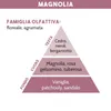 PROFUMATORE AUTO BOCCIOLO, Magnolia