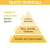 COMBUSTIBILE PER LAMPADA CATALITICA, FRUTTI TROPICALI