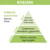 COMBUSTIBILE PER LAMPADA CATALITICA, RUGIADA