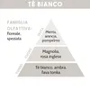 DIFFUSORE DI ESSENZA, TE' BIANCO, 200 ml