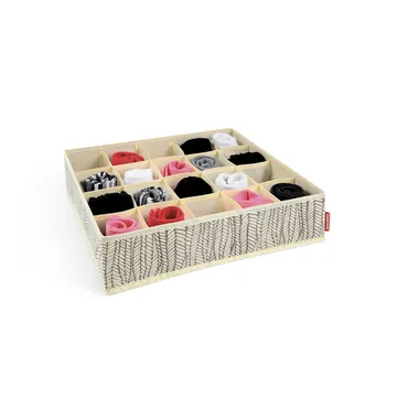 ORGANIZER BIANCHERIA INTIMA, 20 scomparti