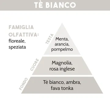 RICARICA PER DIFFUSORE DI ESSENZA, TE' BIANCO, 500 ml