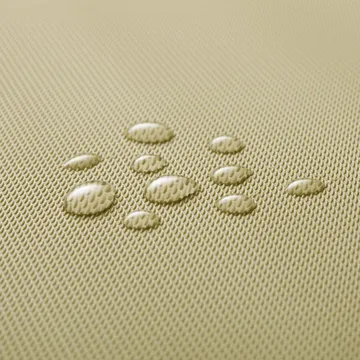 TOVAGLIETTA AMERICANA