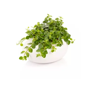 VASO GRANDE STONES, BIANCO