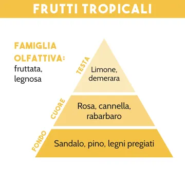 COMBUSTIBILE PER LAMPADA CATALITICA, FRUTTI TROPICALI