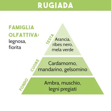 COMBUSTIBILE PER LAMPADA CATALITICA, RUGIADA