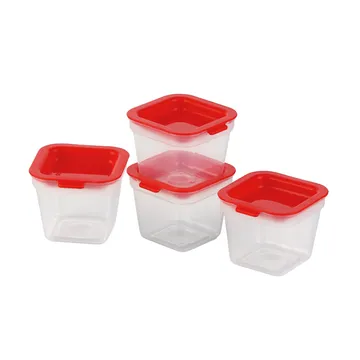 MINI CONTENITORE PER FREEZER