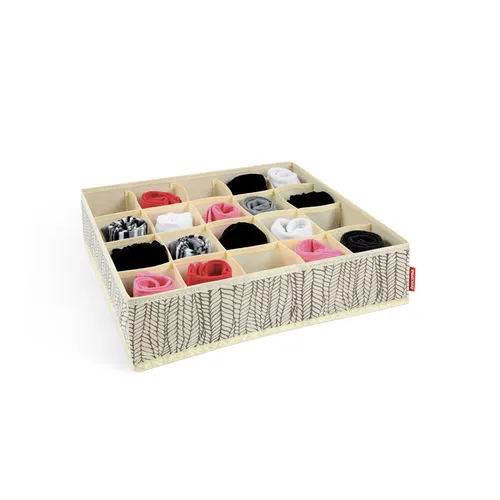 ORGANIZER BIANCHERIA INTIMA, 20 scomparti