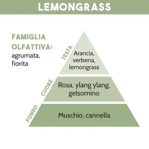 RICARICA PER DIFFUSORE DI ESSENZA, LEMONGRASS, 500 ml