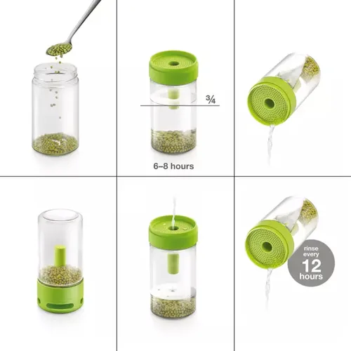 GERMOGLIATORE IN VETRO