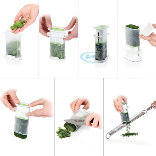 DISPENSER PER ERBE AROMATICHE CONGELATE