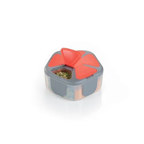 PORTASPEZIE DA VIAGGIO, 5 SCOMPARTI