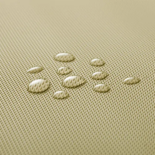 TOVAGLIETTA AMERICANA