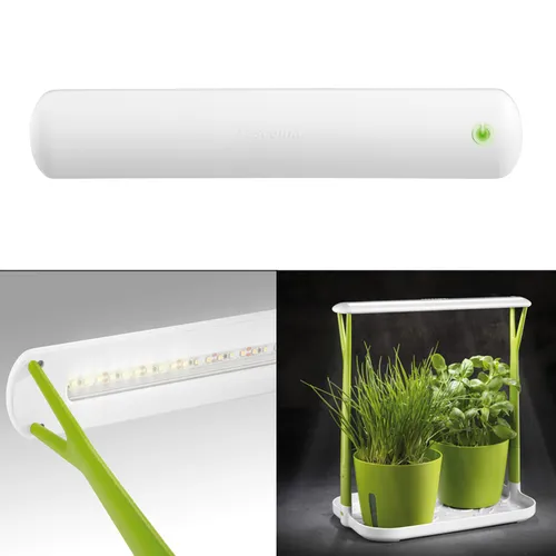 ORTO DA INTERNO CON LUCE A LED