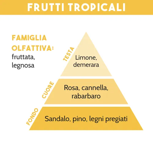 COMBUSTIBILE PER LAMPADA CATALITICA, FRUTTI TROPICALI