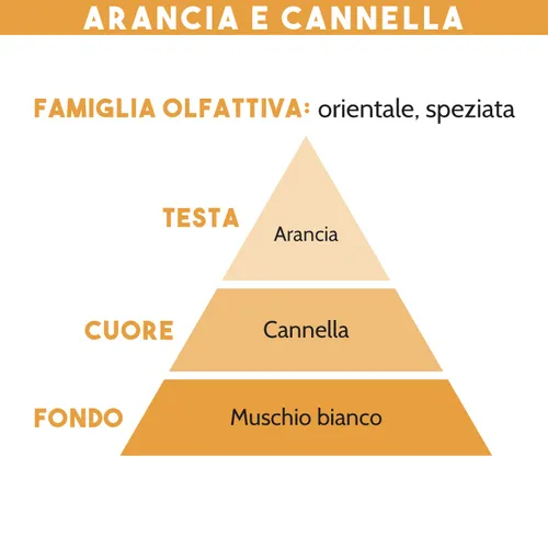 DIFFUSORE DI ESSENZA, ARANCIA & CANNELLA
