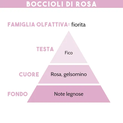 DIFFUSORE DI ESSENZA, BOCCIOLI DI ROSA