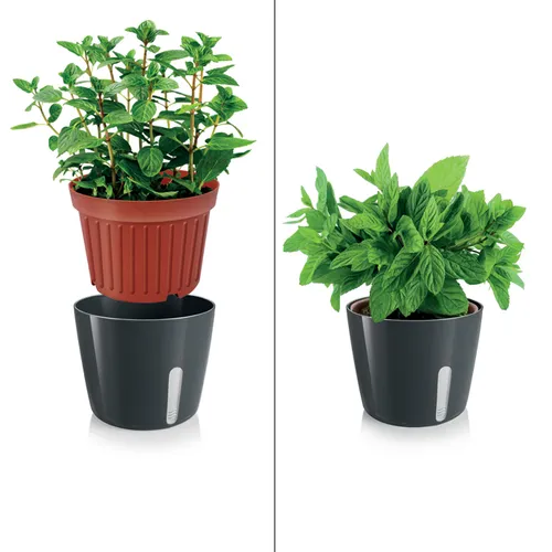 VASO PER PIANTE TONDO, GRIGIO