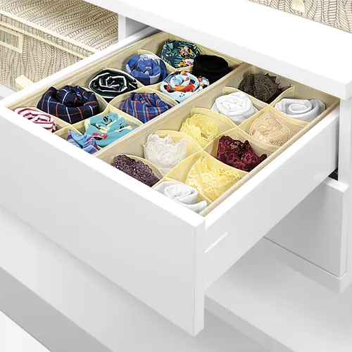 ORGANIZER BIANCHERIA INTIMA, 10 scomparti