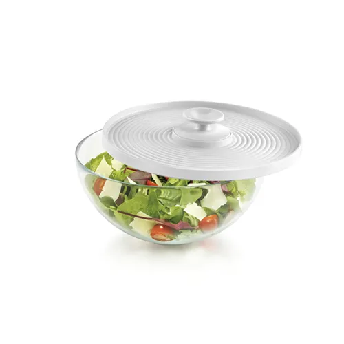 COPRIVIVANDE IN VETRO/CIOTOLA CON COPERCHIO