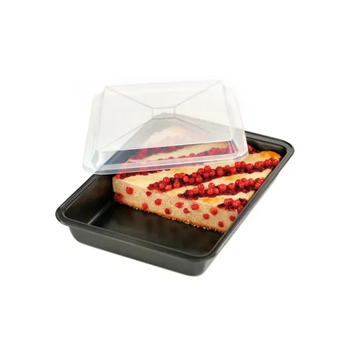 TEGLIA RETTANGOLARE CON COPERCHIO