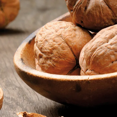 Le noci fanno bene al cuore