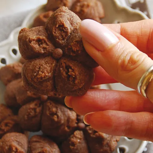 Biscotti con la sparabiscotti