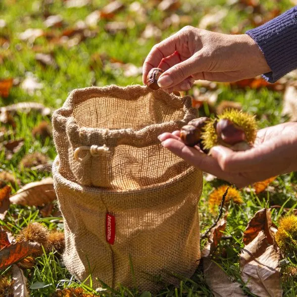 Castagne: come sbucciarle facilmente