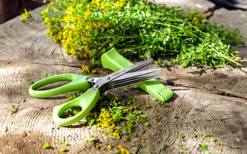 FORBICI E AFFILATORI
